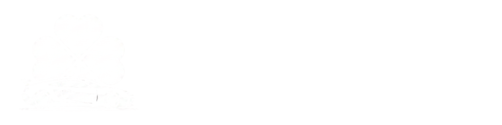 Black Clover Detailing